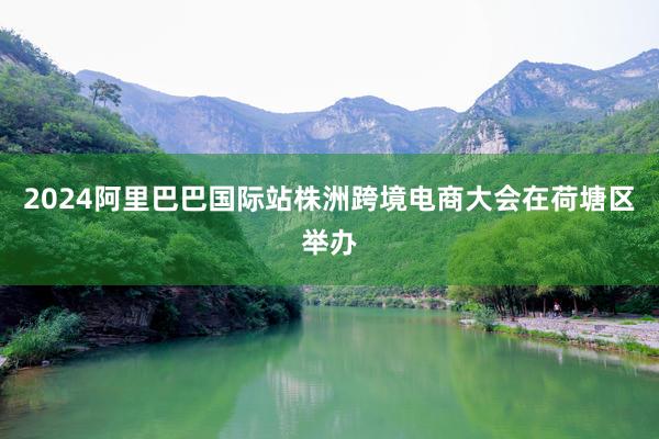 2024阿里巴巴国际站株洲跨境电商大会在荷塘区举办