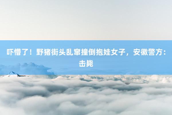吓懵了！野猪街头乱窜撞倒抱娃女子，安徽警方：击毙