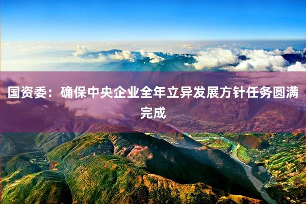 国资委：确保中央企业全年立异发展方针任务圆满完成