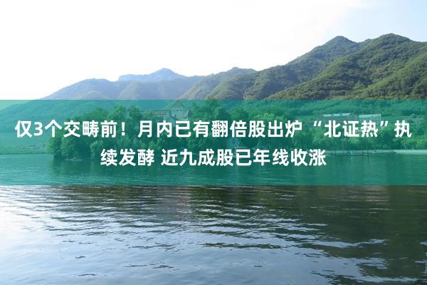 仅3个交畴前！月内已有翻倍股出炉 “北证热”执续发酵 近九成股已年线收涨