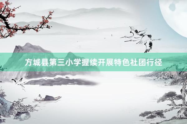 方城县第三小学握续开展特色社团行径