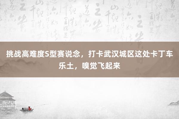 挑战高难度S型赛说念，打卡武汉城区这处卡丁车乐土，嗅觉飞起来