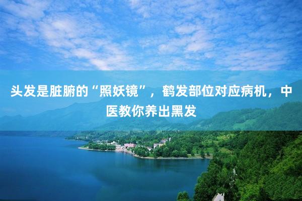 头发是脏腑的“照妖镜”，鹤发部位对应病机，中医教你养出黑发