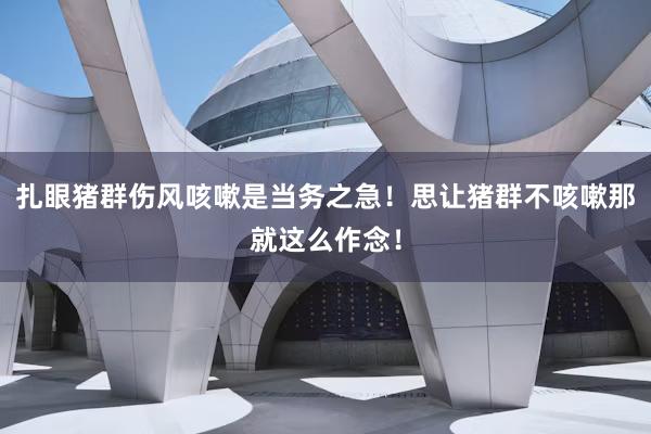 扎眼猪群伤风咳嗽是当务之急！思让猪群不咳嗽那就这么作念！