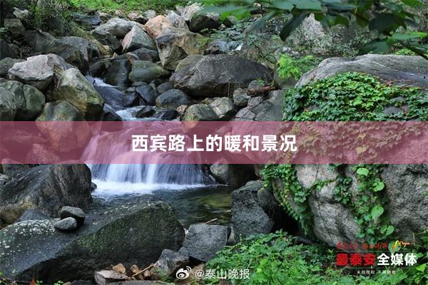 西宾路上的暖和景况