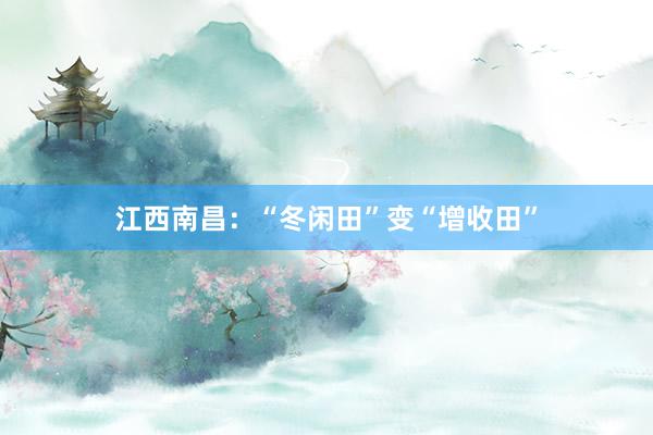 江西南昌:“冬闲田”变“增收田”
