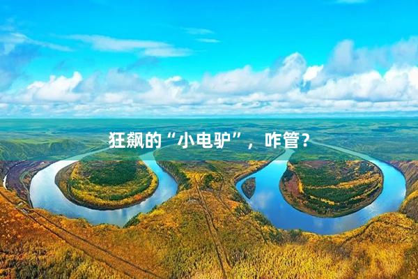 狂飙的“小电驴”,咋管?