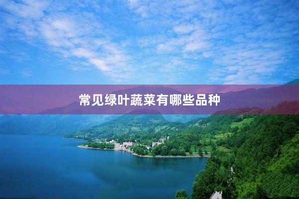 常见绿叶蔬菜有哪些品种