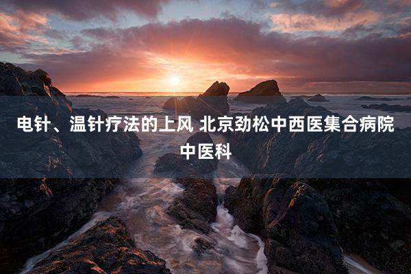 电针、温针疗法的上风 北京劲松中西医集合病院中医科