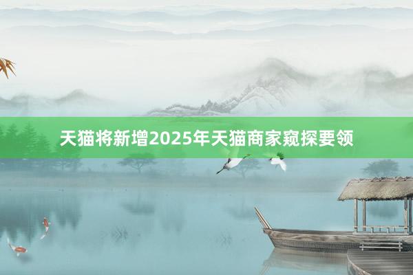 天猫将新增2025年天猫商家窥探要领