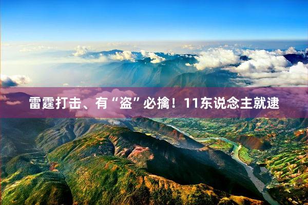 雷霆打击、有“盗”必擒！11东说念主就逮
